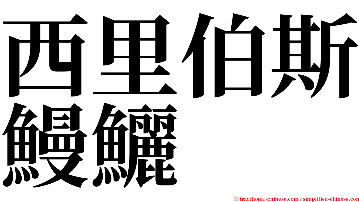 西里伯斯鰻鱺 serif font