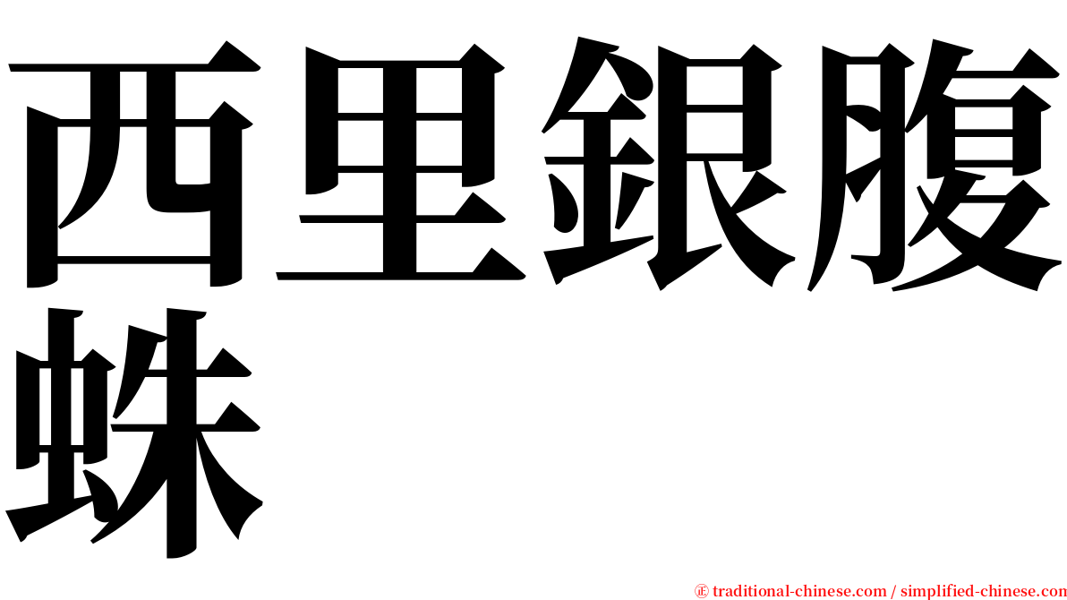 西里銀腹蛛 serif font