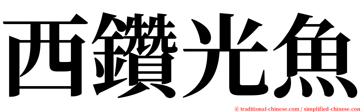 西鑽光魚 serif font