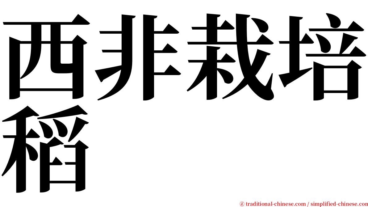 西非栽培稻 serif font