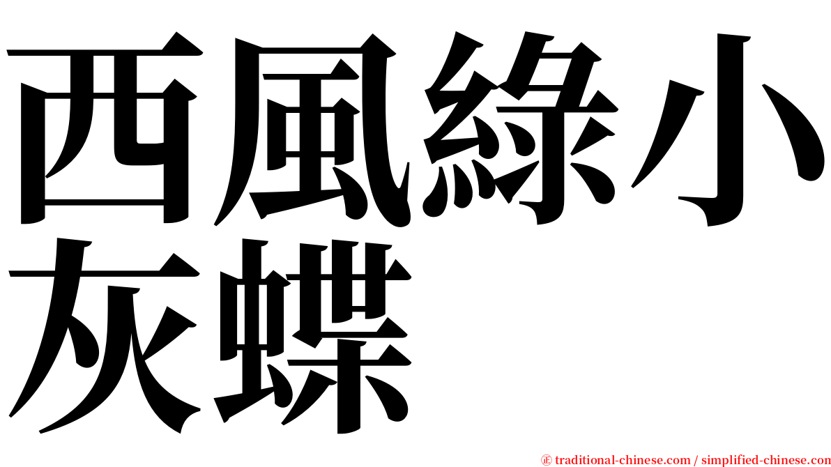 西風綠小灰蝶 serif font