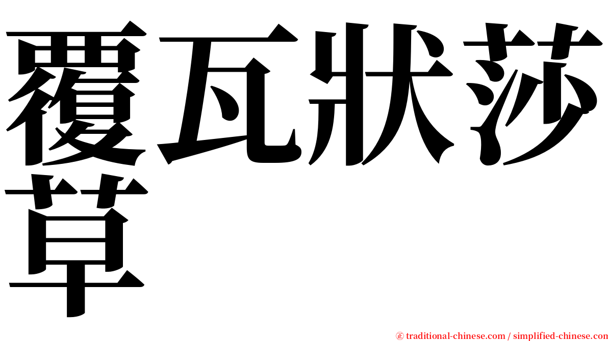 覆瓦狀莎草 serif font