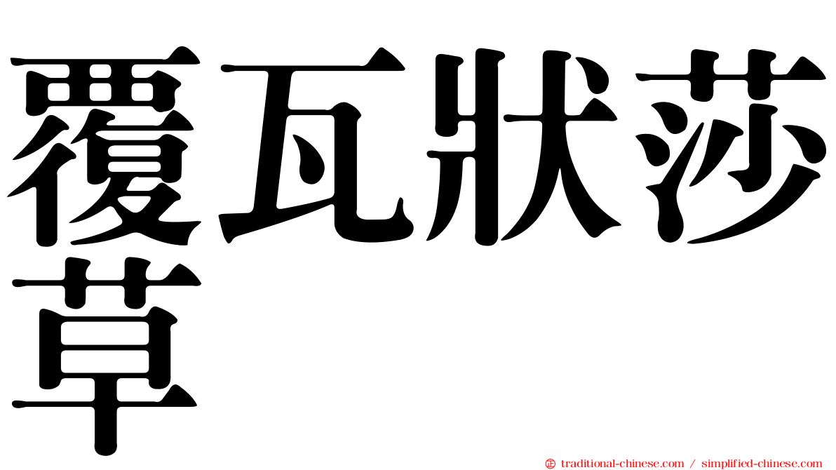 覆瓦狀莎草