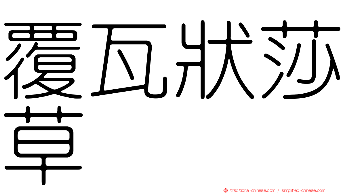 覆瓦狀莎草