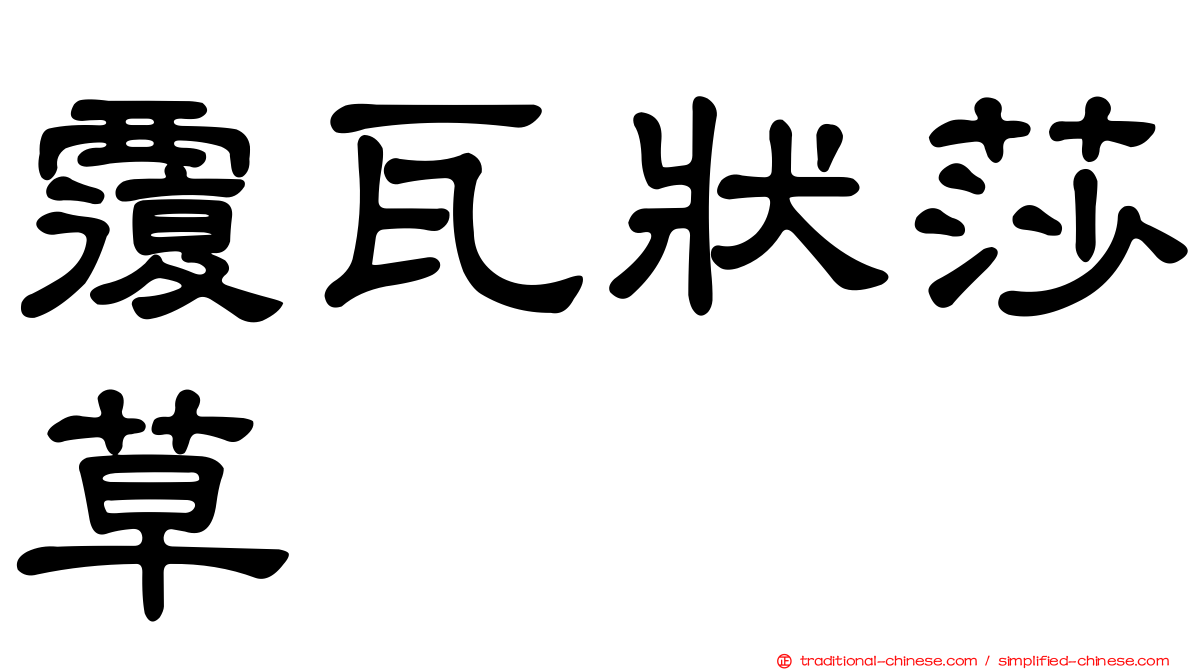 覆瓦狀莎草