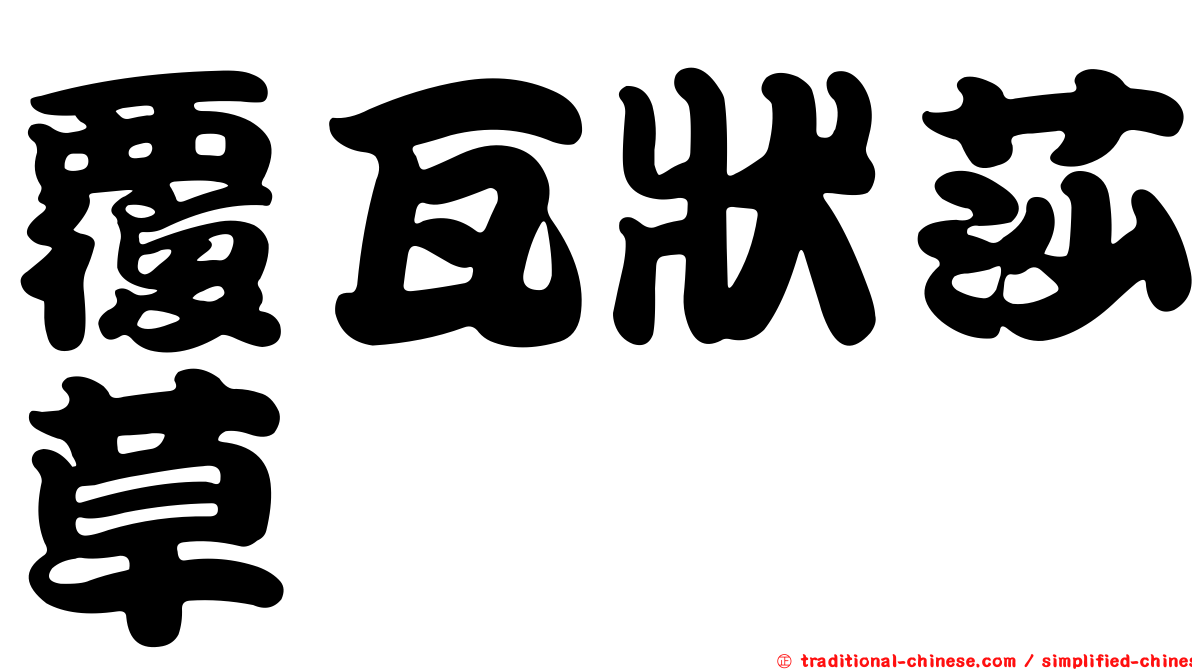 覆瓦狀莎草