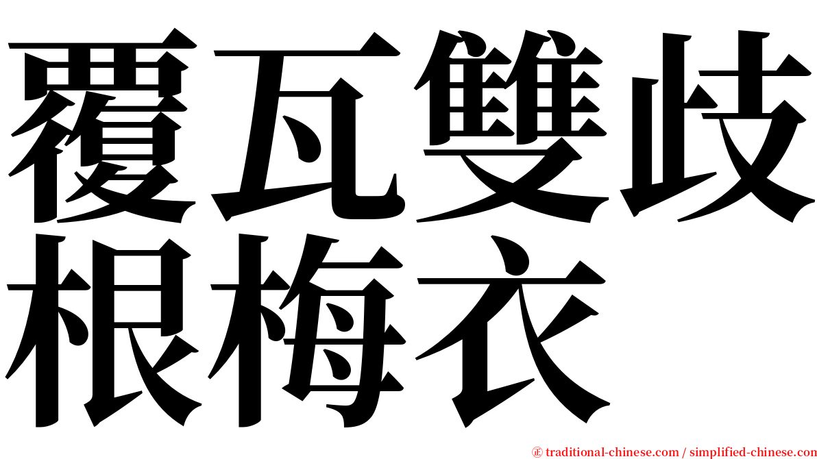 覆瓦雙歧根梅衣 serif font