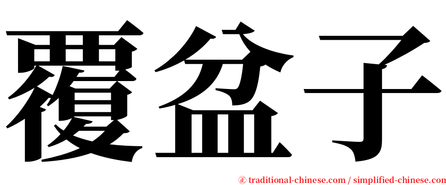 覆盆子 serif font