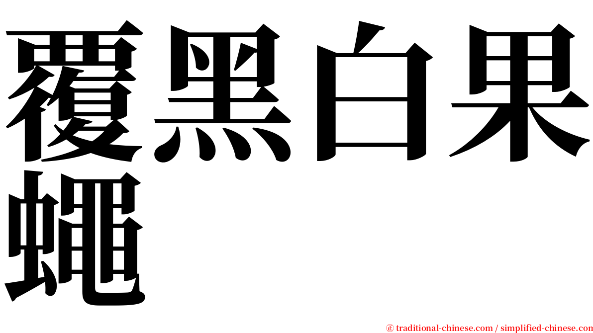 覆黑白果蠅 serif font