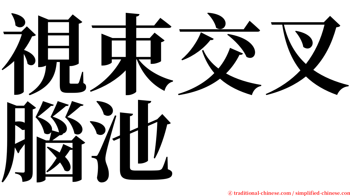 視束交叉腦池 serif font