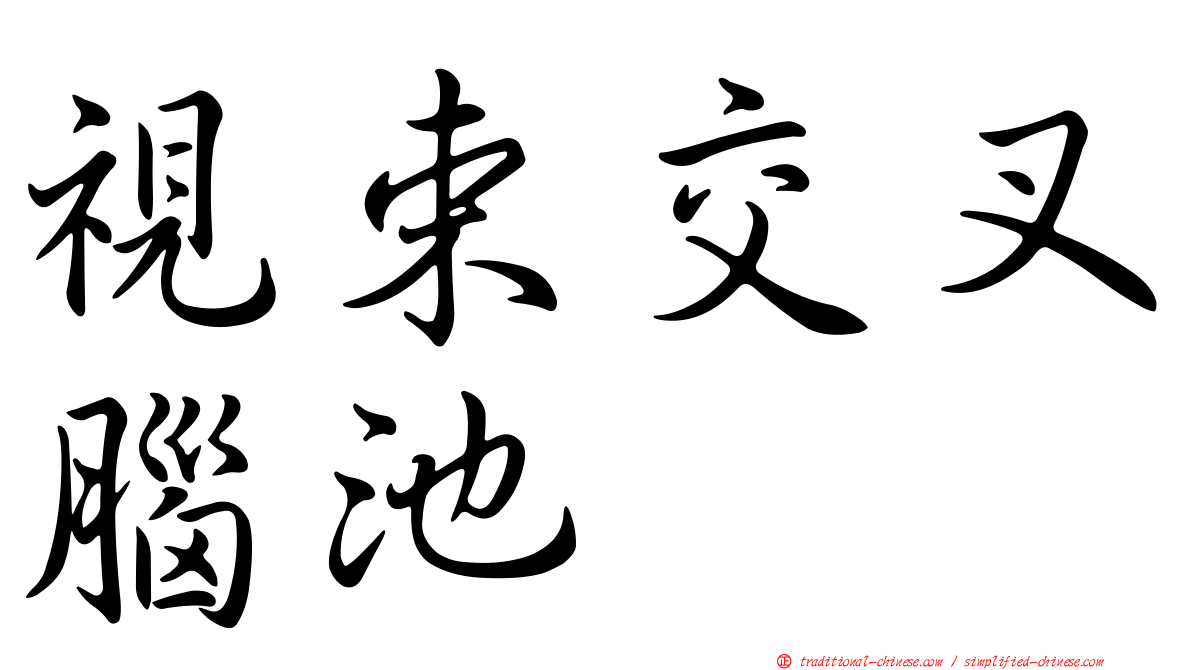 視束交叉腦池