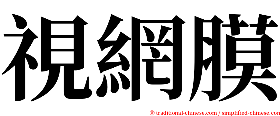 視網膜 serif font