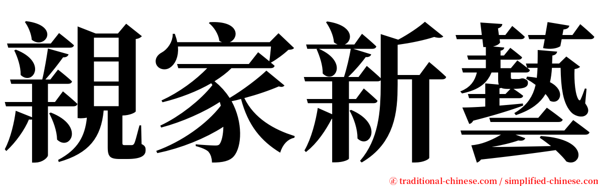 親家新藝 serif font