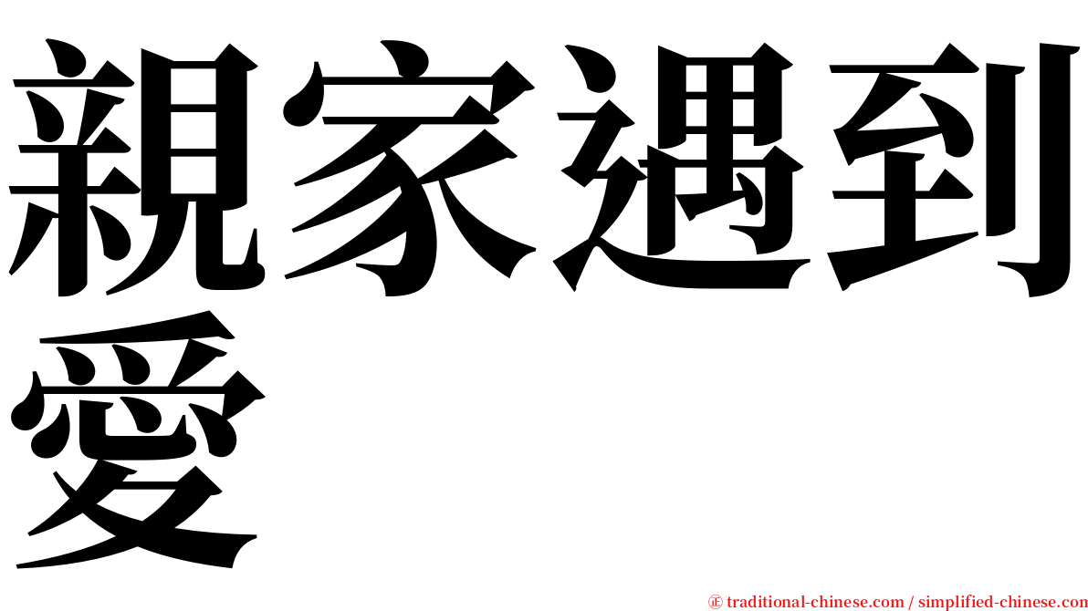 親家遇到愛 serif font