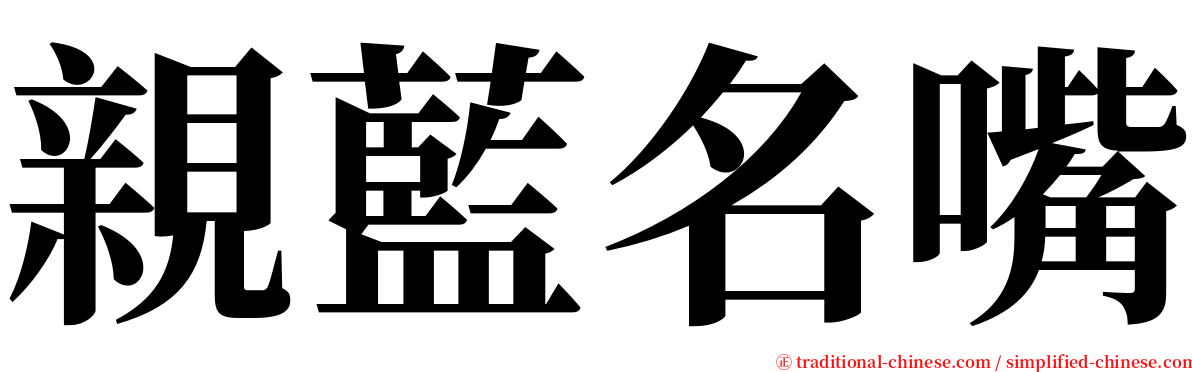 親藍名嘴 serif font