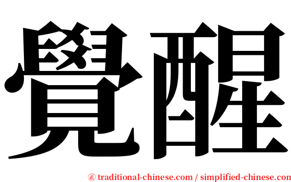 覺醒 serif font