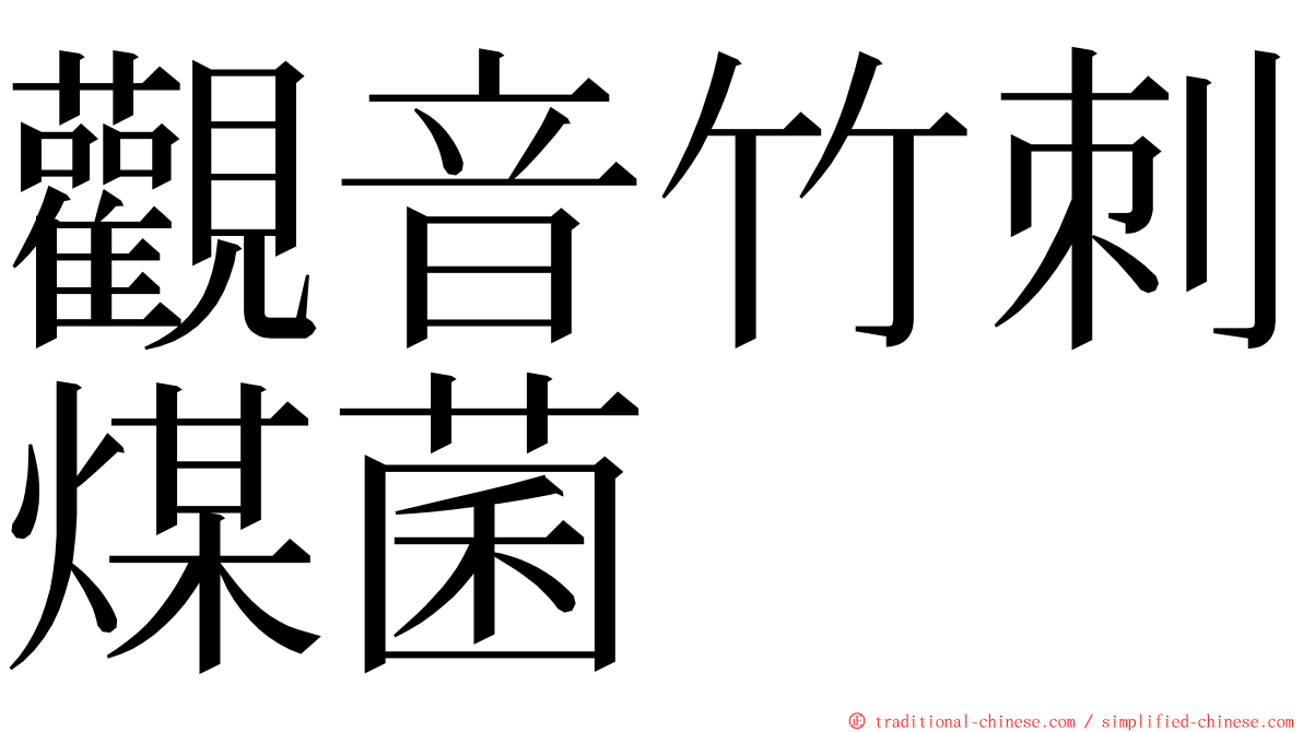 觀音竹刺煤菌 ming font