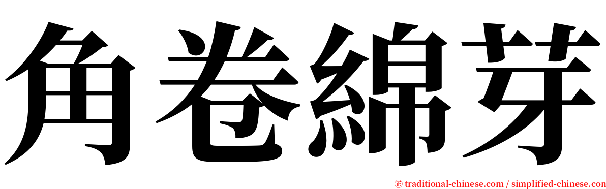 角卷綿芽 serif font