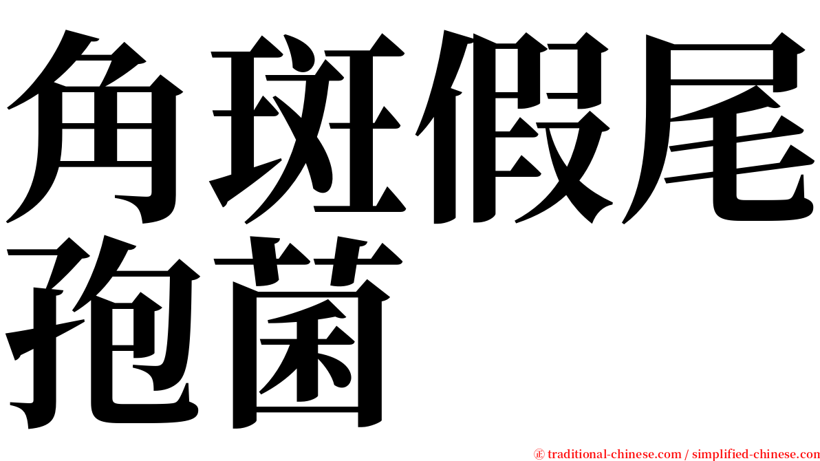 角斑假尾孢菌 serif font