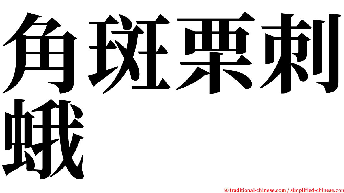 角斑栗刺蛾 serif font