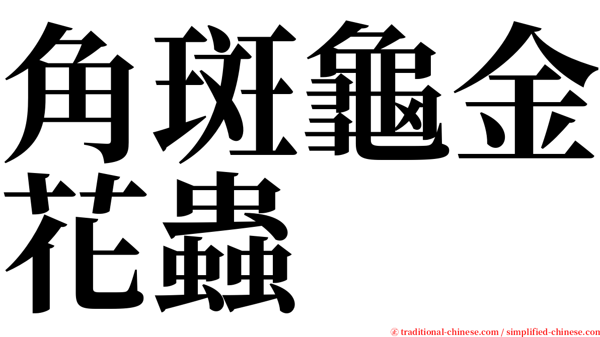 角斑龜金花蟲 serif font