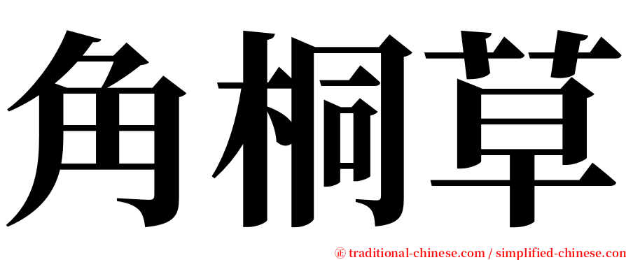 角桐草 serif font