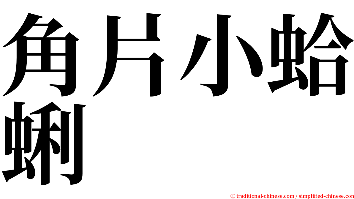 角片小蛤蜊 serif font