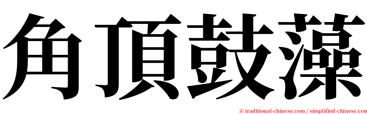 角頂鼓藻 serif font