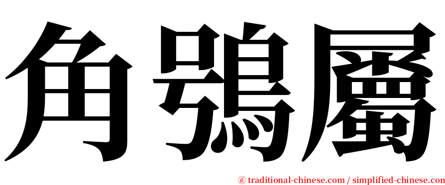 角鴞屬 serif font