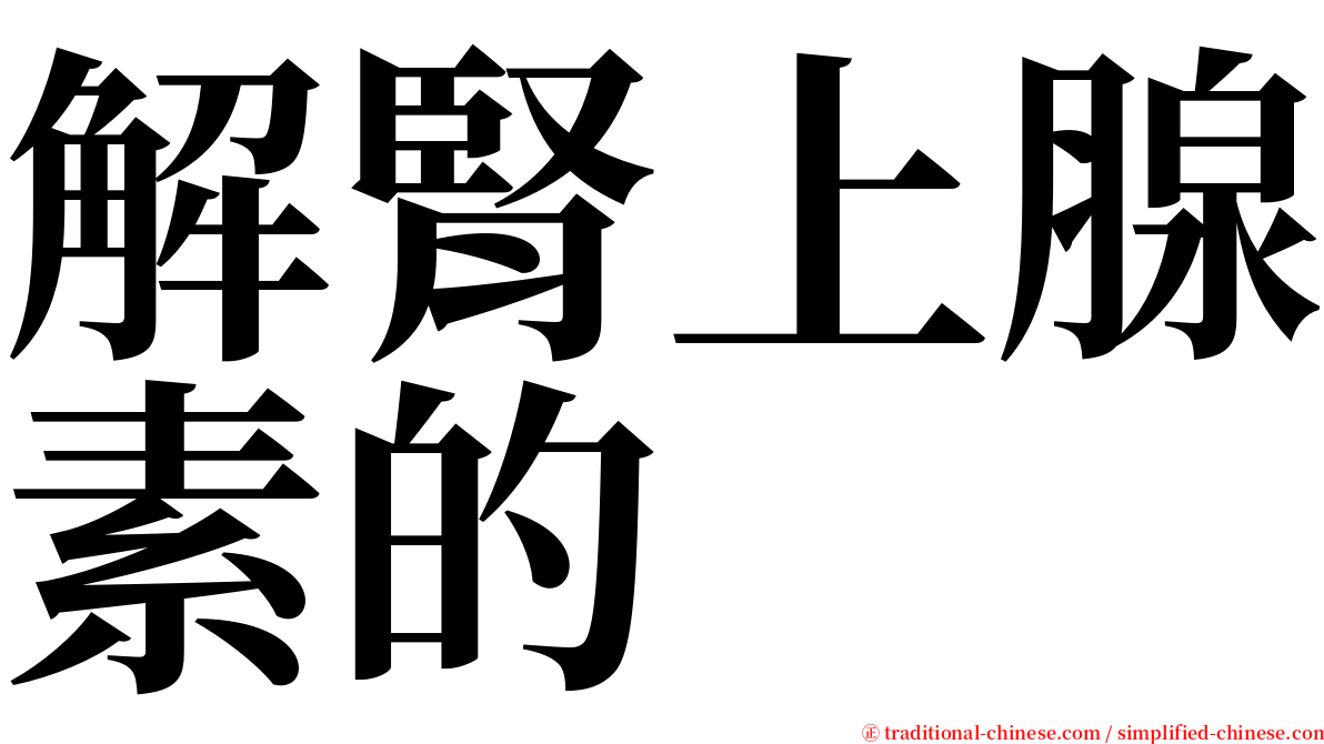 解腎上腺素的 serif font