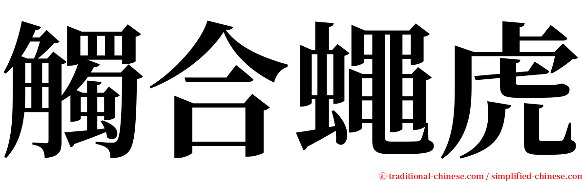 觸合蠅虎 serif font