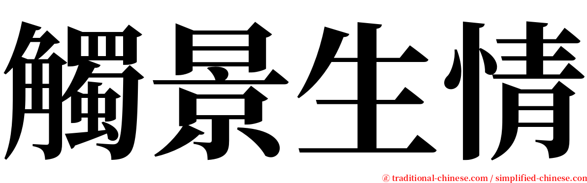 觸景生情 serif font