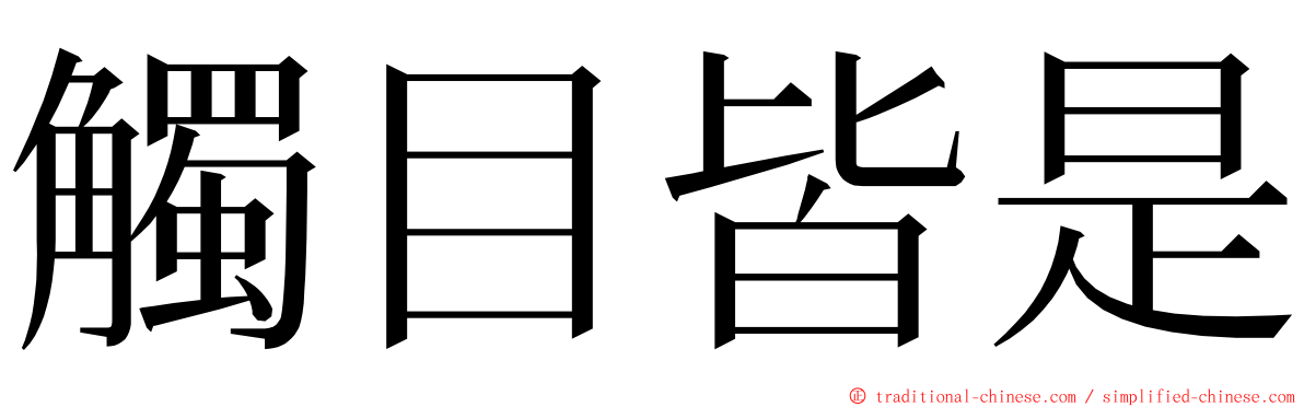 觸目皆是 ming font