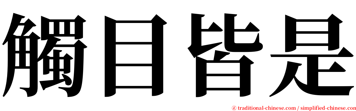 觸目皆是 serif font