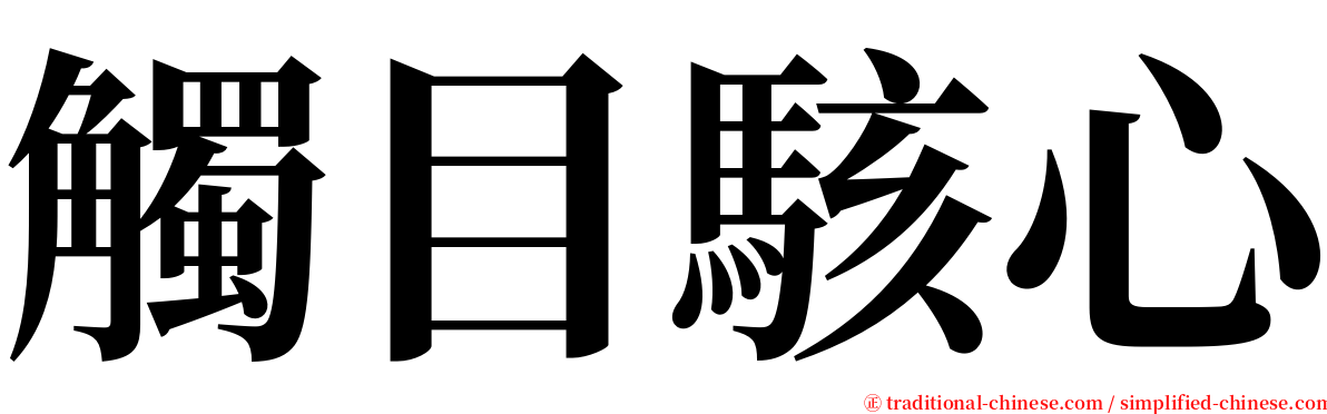 觸目駭心 serif font