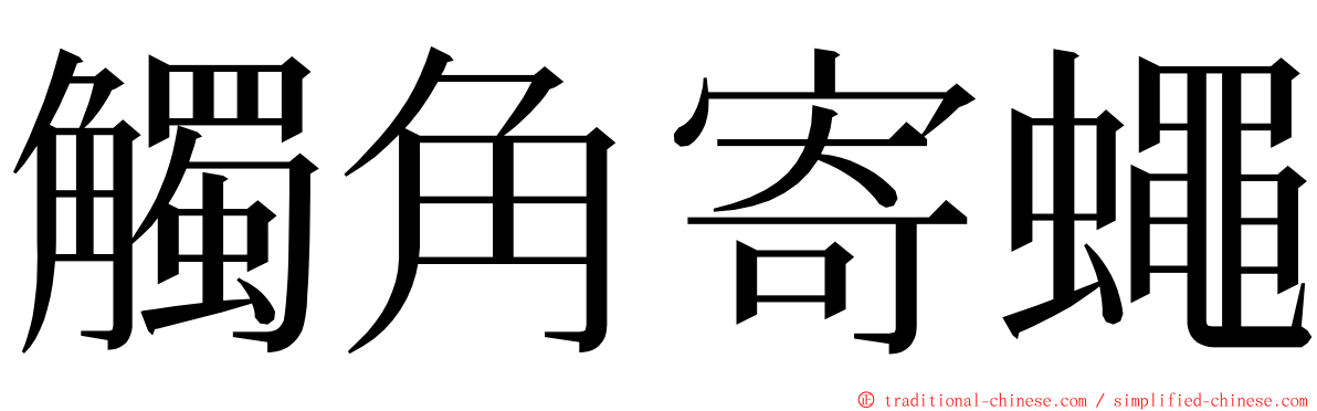 觸角寄蠅 ming font