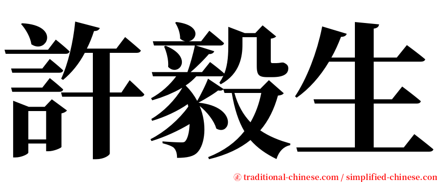 許毅生 serif font