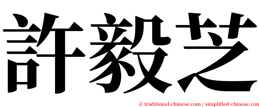 許毅芝 serif font