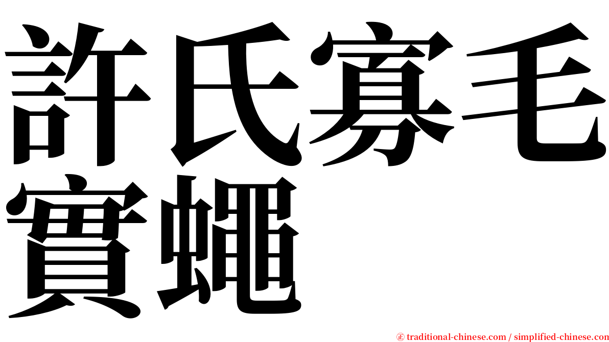 許氏寡毛實蠅 serif font