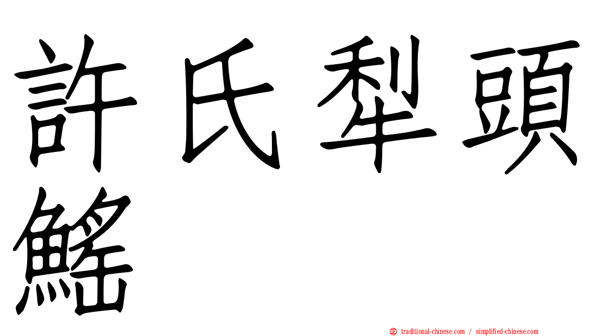 許氏犁頭鰩