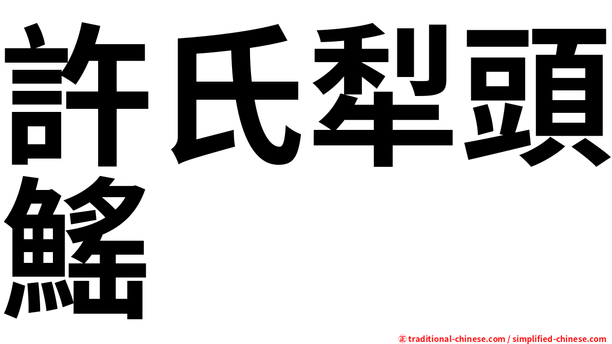 許氏犁頭鰩