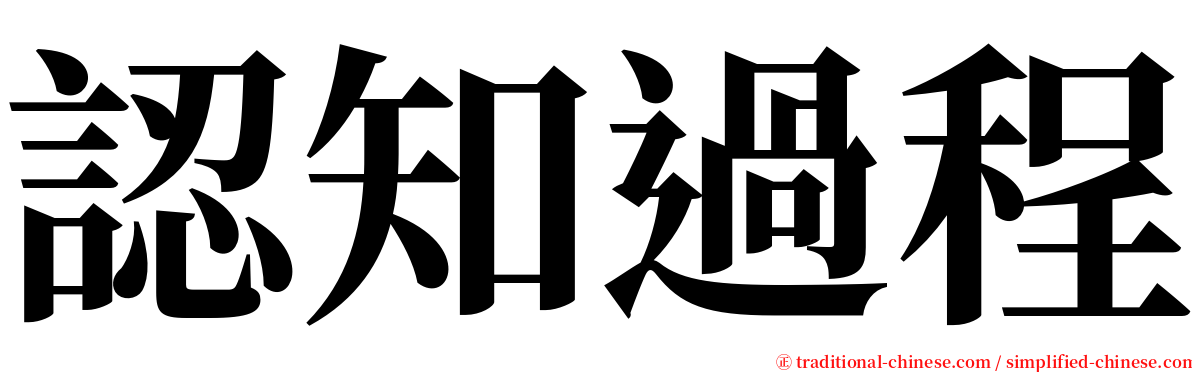 認知過程 serif font