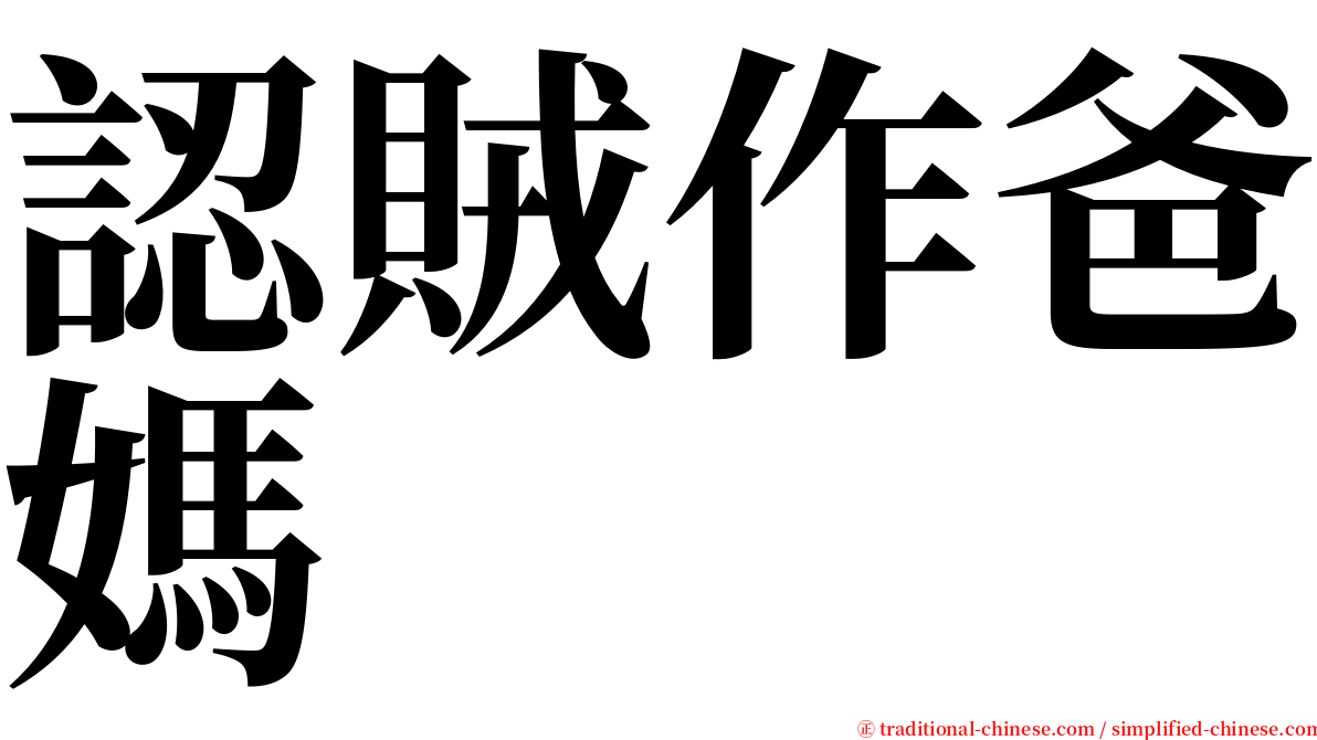 認賊作爸媽 serif font