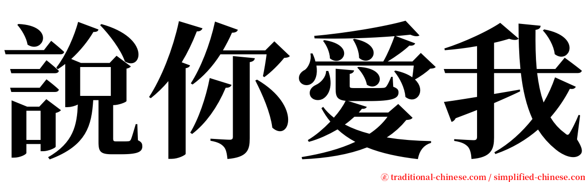 說你愛我 serif font