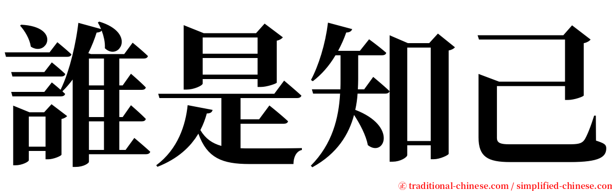 誰是知己 serif font