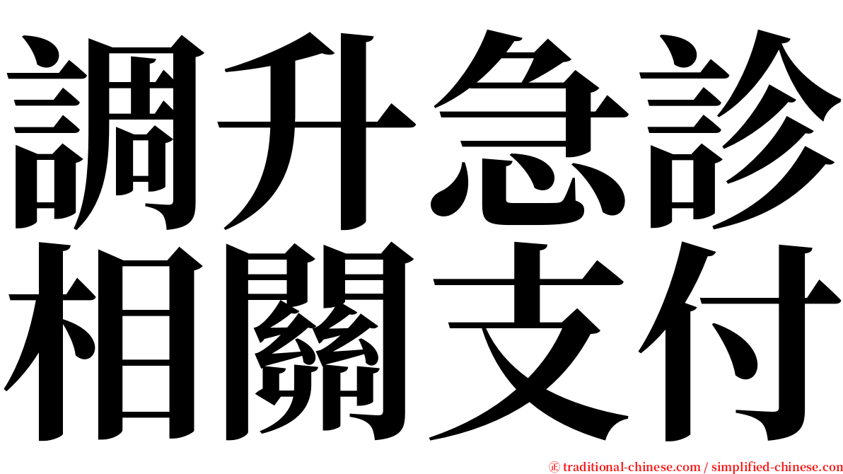 調升急診相關支付 serif font