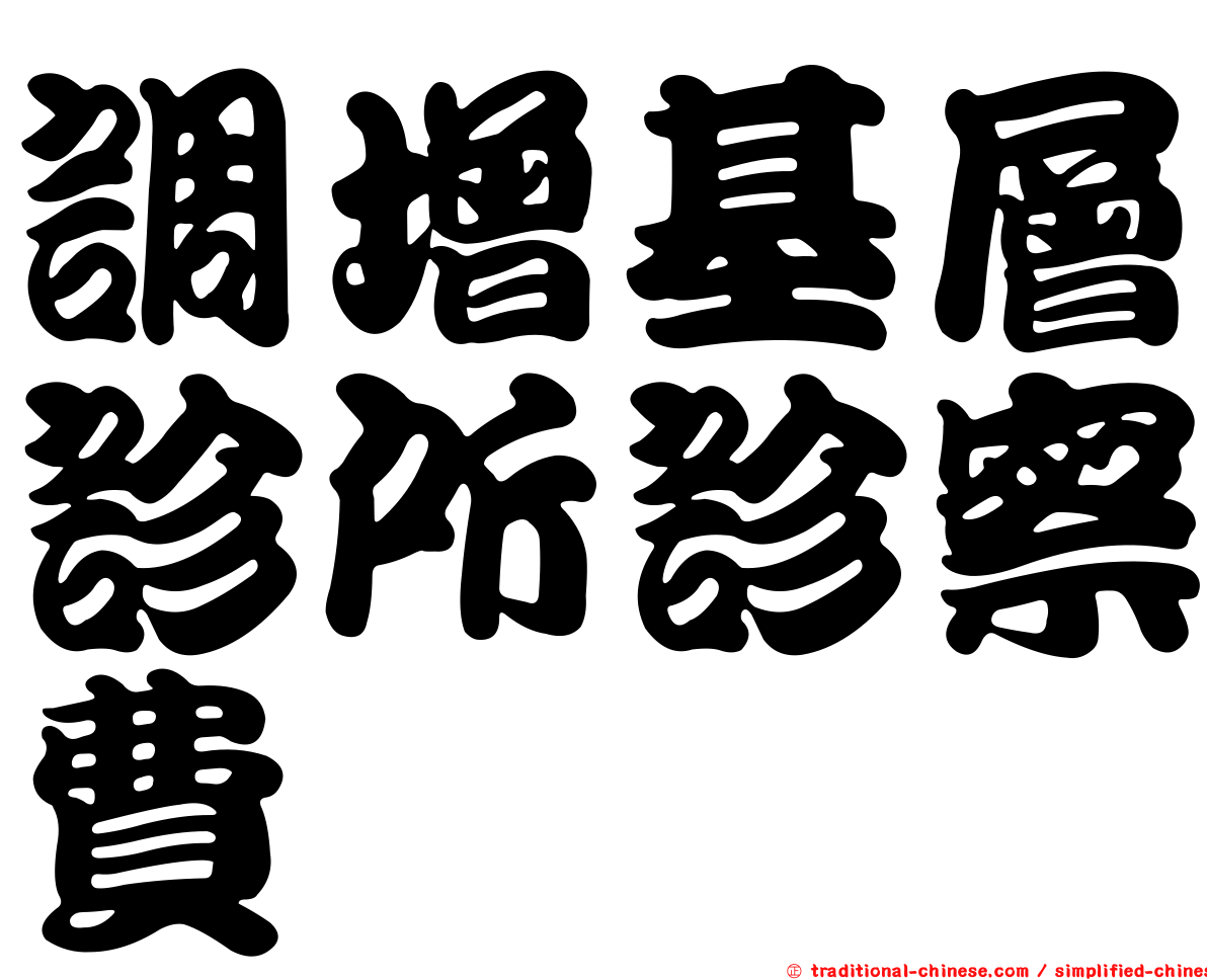 調增基層診所診察費