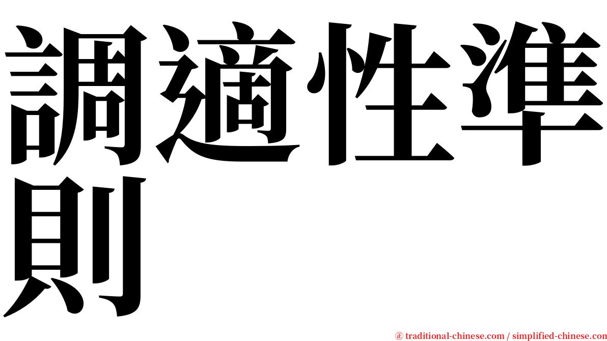 調適性準則 serif font