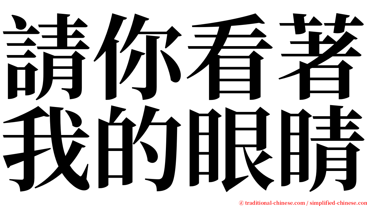 請你看著我的眼睛 serif font