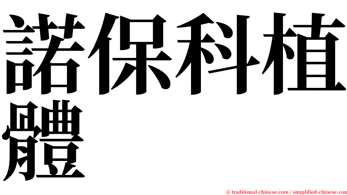 諾保科植體 serif font